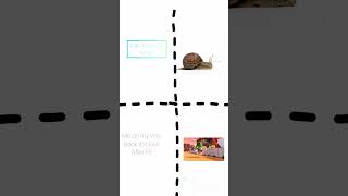 relatable #relatable #meme #slow #running