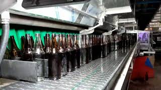 Beer Bottle Unloading from Bottle Washer screenshot 5