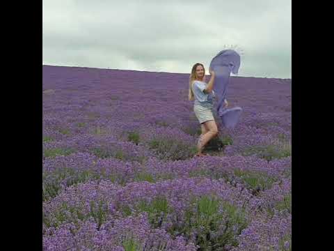 Крым радует своими красками 💐💐💐 - YouTube