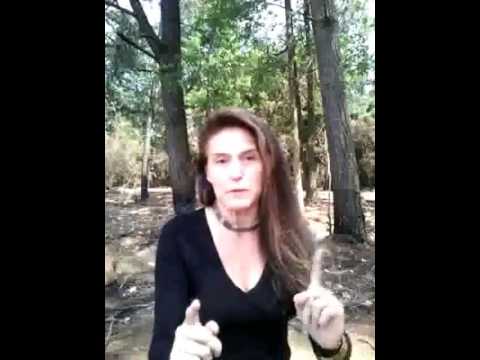 Sencilla explicación de la Reforma para los delfinarios por Patty Aguirre (2017)