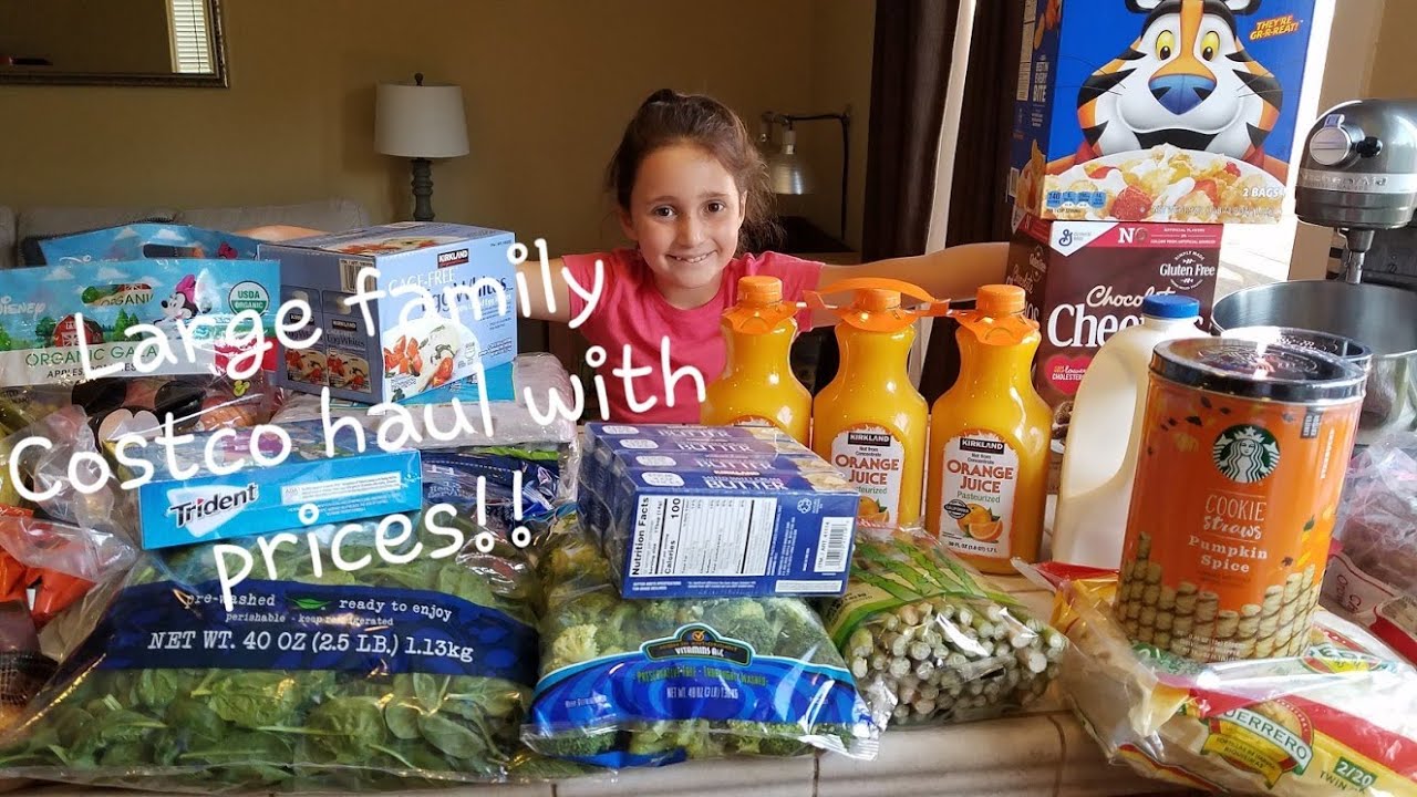 Large Family Costco Haul// With Prices YouTube
