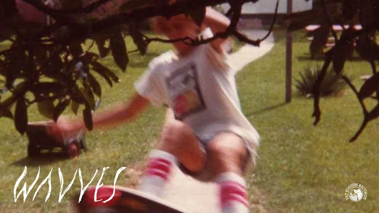 Wavves - Surf Goth (Official Audio)