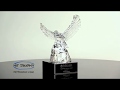 Crystal Eagle Statue with Free Engraving K9117