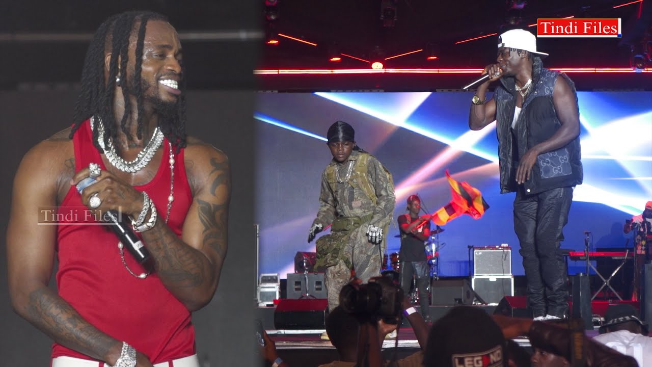 Alien Skin`s Performance at Diamond Platinumz`s Concert. - YouTube