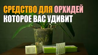 Волшебная подкормка для орхидей, удивит Вас с первого раза. Янтарная и никотиновая кислота