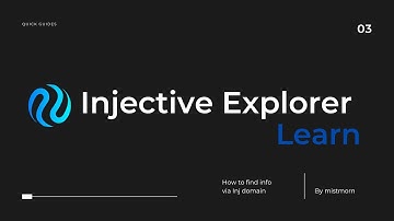 How to find information in Injective Explorer by INJ domain
