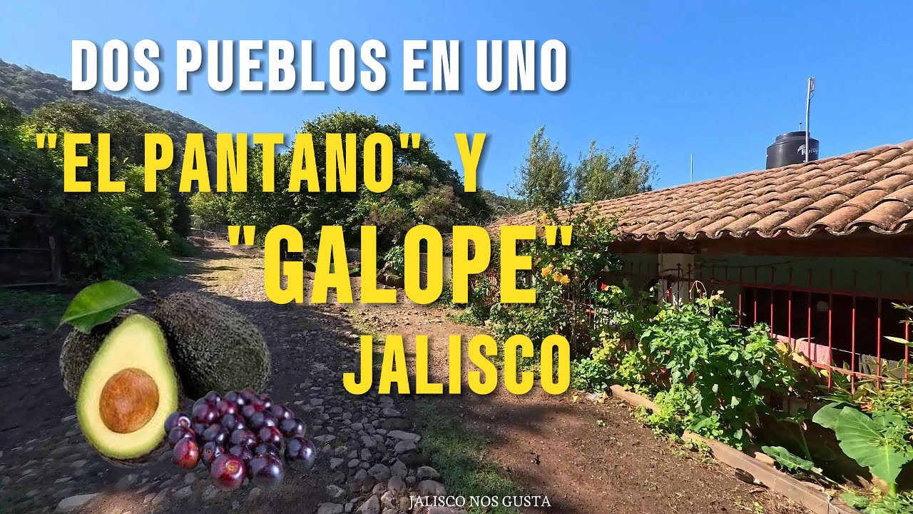 DOS PUEBLOS CON UNA GRAN CANTIDAD DE ARBOLESDE AGUACATE MENDEZ,RICO EN SUS TIERRAS Y SU GENTE