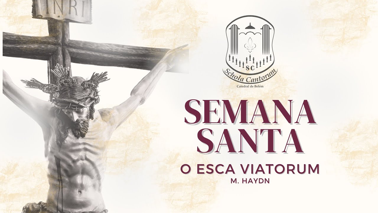 O Esca Viatorum - M. Haydn - Schola Cantorum