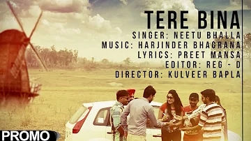 Tere Bina Neetu Bhalla - Promo [ Official Video ] 2013 - Anand Music