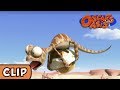 Oscar S Oasis Flying Lizard HQ Funny Cartoons