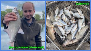 Рыбалка на Днестре в Маями клуб 6 апреля. КОНКУРС! Рыбалка Днестр Маяки