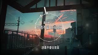 不得不爱 DJ REMIX-  潘玮柏/弦子【动态歌词/LYRICS VIDEO】