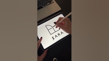 Lara | Procreate Logo Design #designprocess #adobeillustrator #procreate
