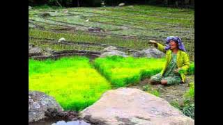 Trio Golden Heart      Ro Pe Au Inang