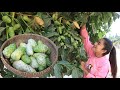 Have you ever seen this fruit at your place? / Fresh vegetable with chopped fish paste recipe