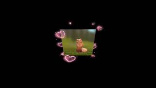 Intro Para Xfox Vampire Pfv N Muda Mas O Nome Do Canal