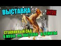 Стеклянный сад - чешская выставка в Алматы. Музей им. Кастеева