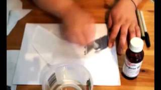 Wintergreen Transfers