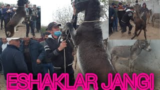 ESHAKLAR JANGI VA ESHAKLAR NARXLARI 2021 04 16