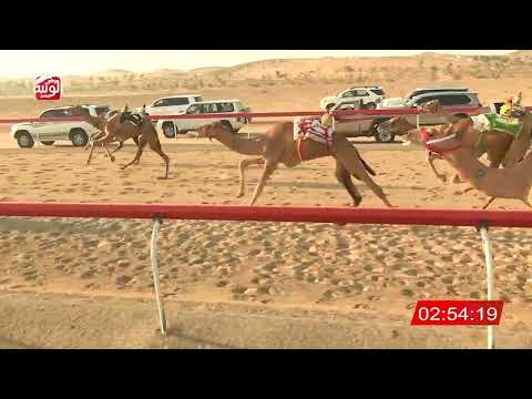 الشوط 7 لفان ل مسلم بن بخيت ناصر النوبي العامري 6 38 شارة الديوان 2025 10 6 لقايا الخزنة