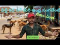 They cry for dogs, but what about humans? || ఇదే మన ప్రజాస్వామ్య దేశం అంటె || (fullvideo) 