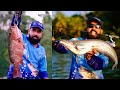 അമറൻ ചെമ്പല്ലിയും പറന്ന് അടിച്ച ആറ്റുവാളയും / Heavy Fishing Mangrove Jack And Wallago Attu