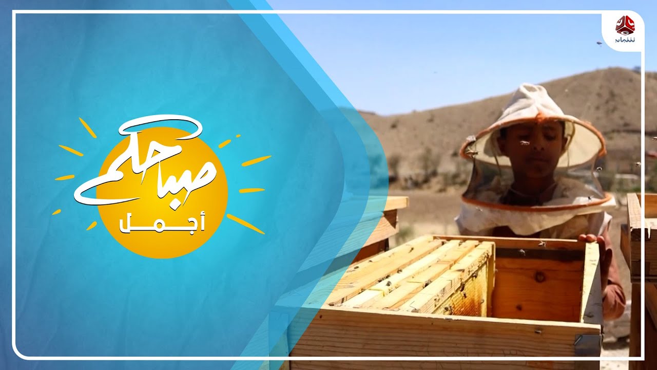 النحال الصغير .. معتز حسن انموذج للشغف والحرص على تنمية المواهب