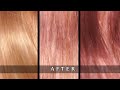 Guy Tang MyRefresh Rose Gold Conditioner on Blonde, Dark blonde and Brown hair Review