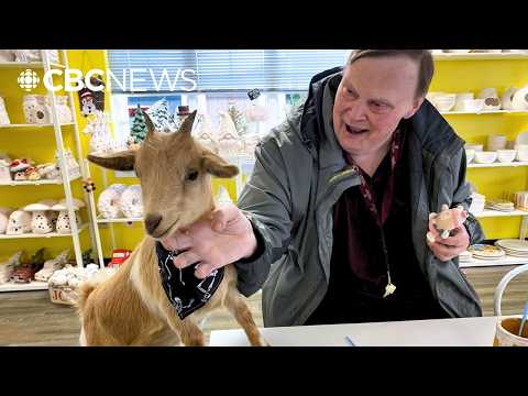 People flock to goat painting classes, selling out for 7 straight years