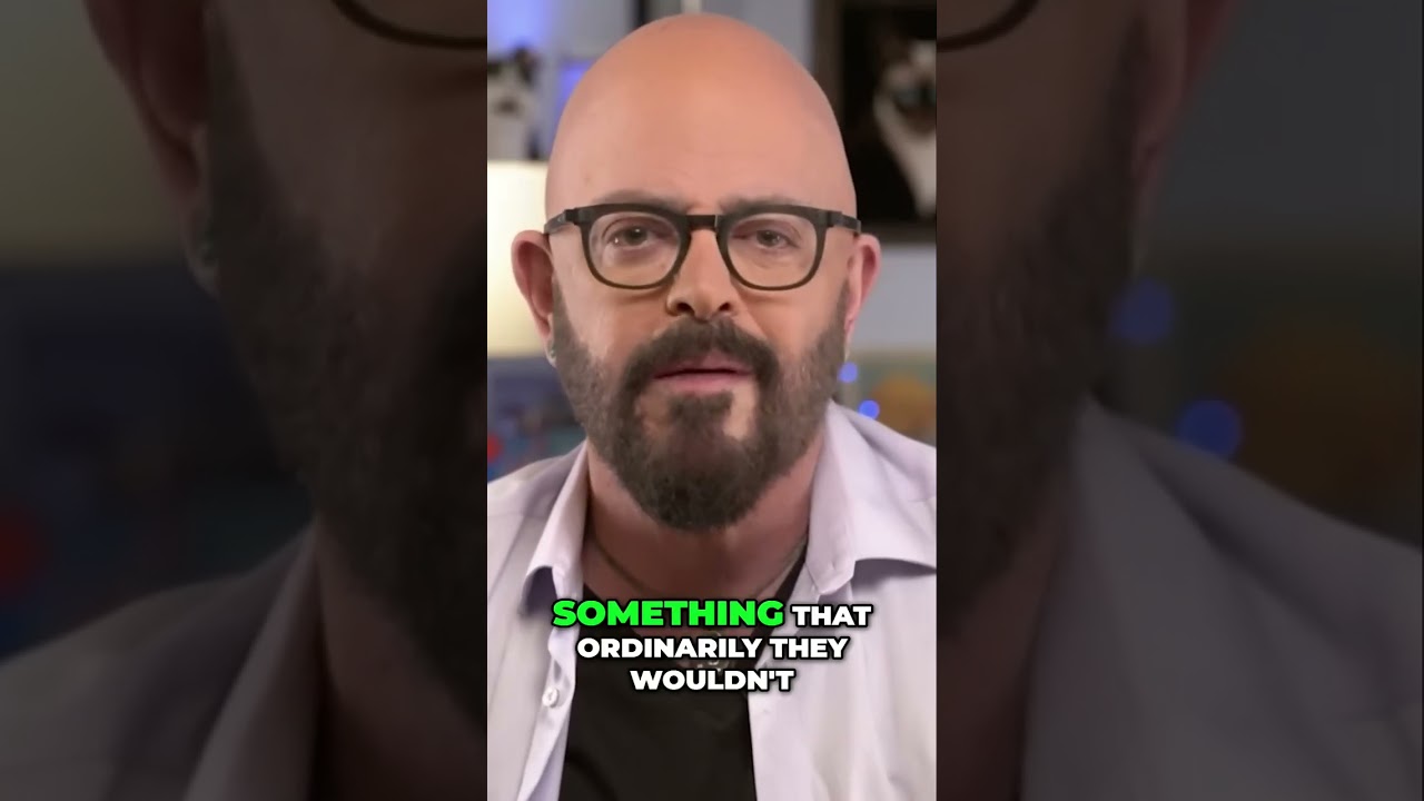 Feeding Cats  How to Optimize Mealtimes for Better Behavior