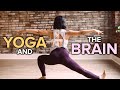 How does yoga affect the brain?