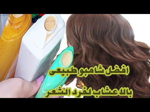 شامبو طبيعى بالاعشاب لفرد الشعر ولمعانه بدون مواد كيماوية صحى ومفيد شامبو طبيعى بالاعشاب لفرد الشعر ولمعانه بدون مواد كيماوية صحى ومفيد