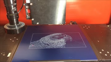 Laser Engraving a Parrot Using Polaris Motion IFOV