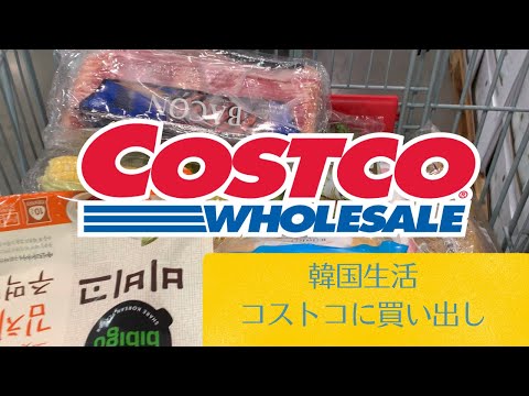 66 韓国生活 韓国costcoに買い出し トレーダースじゃないよcostcoだよ Youtube