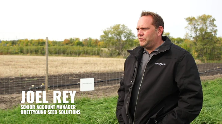 SWAJ Forage Tall Fescue