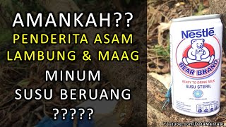 Apakah Susu Beruang Bear Brand Aman Untuk Penderita Asam Lambung Dan Maag?