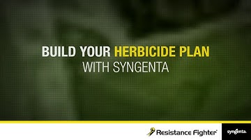 Flexible Herbicide Program for LibertyLink Seed