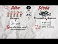 Attenzione.Dita и Ditta!Итальянский язык. Мини урок.№2