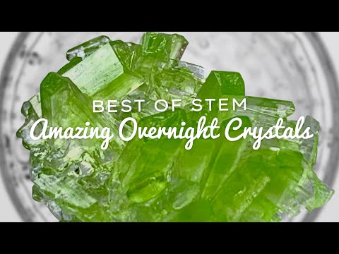 How to Grow CRYSTALS Overnight with AMAZING RESULTS!!! | Easy Kids Experiment