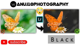 Lightroomの蝶の写真編集||プロの写真を編集する方法