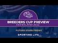 &quot;He is sensationally fast, he goes like stink&quot; | Breeders&#39; Cup Future Stars Friday Preview