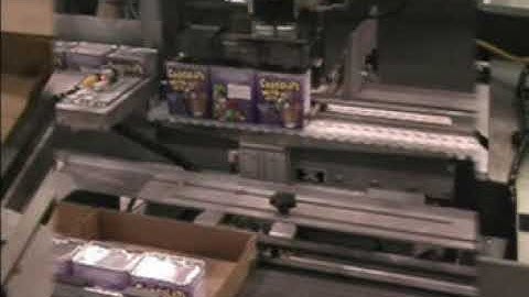 20105 BluePrint Automation (BPA) Gantry 100 Case Packer