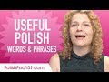 Useful Polish Words & Phrases to Speak Like a Native