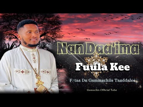 Nan Daa Ima Fuula Kee Faaruu Waltajjii Kara F Taa Dn Gammachiis Taaddalee