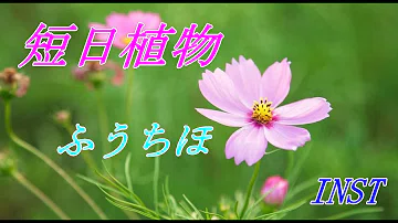 تحميل 短日植物 ふうちほ تحميل 短日植物 ふうちほ