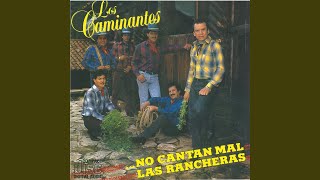 Video thumbnail of "Los Caminantes - Hasta la Tumba"