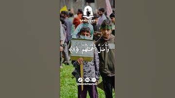 سورة محمد - الايات 6-8 | ماهر المعيقلي 🤍