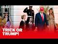 Trump and Melania hand out candy to White House trick-or-treaters on Halloween