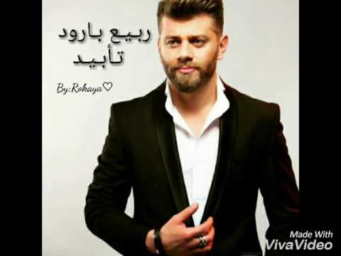 ربيع بارود تأبيد