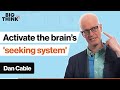 How to activate the ‘seeking system’ of your brain | Dan Cable | Big Think